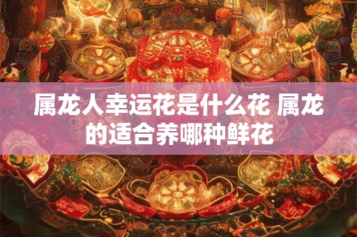 属龙人幸运花是什么花 属龙的适合养哪种鲜花 属龙人幸运花是什么花 属龙的适合养哪种鲜花