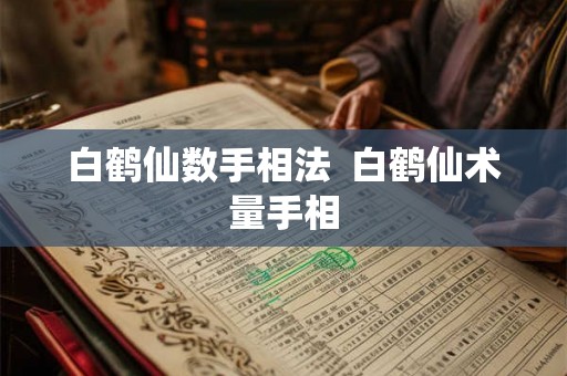 白鹤仙数手相法  白鹤仙术量手相