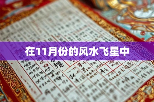 在11月份的风水飞星中