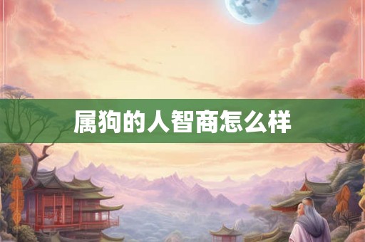 属狗的人智商怎么样
