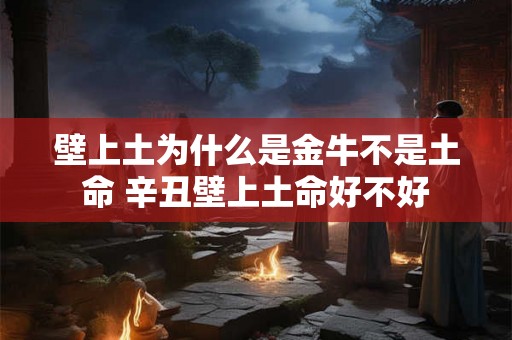 壁上土为什么是金牛不是土命 辛丑壁上土命好不好