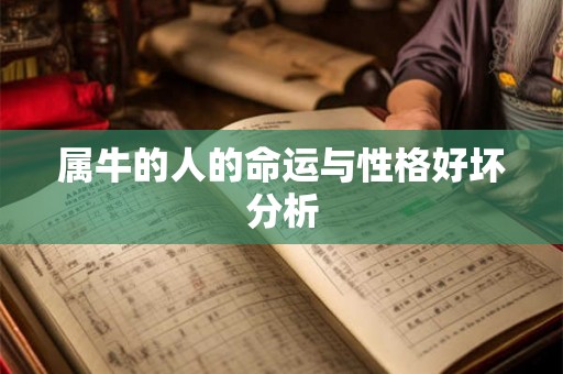 属牛的人的命运与性格好坏分析