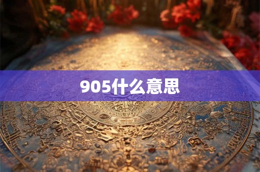 905什么意思 905什么意思