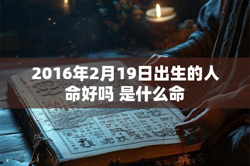 2016年2月19日出生的人命好吗 是什么命