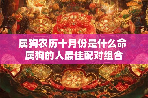 属狗农历十月份是什么命 属狗的人最佳配对组合 属狗农历十月份是什么命 属狗的人最佳配对组合