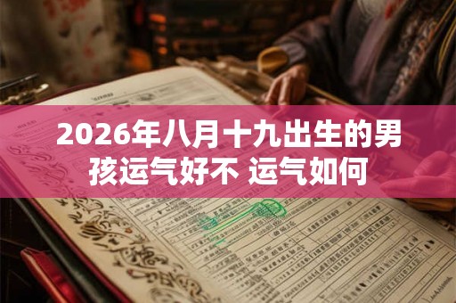 2026年八月十九出生的男孩运气好不 运气如何