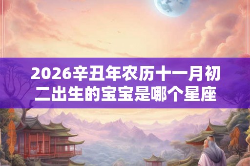 2026辛丑年农历十一月初二出生的宝宝是哪个星座