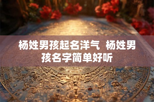 杨姓男孩起名洋气  杨姓男孩名字简单好听