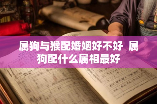 属狗与猴配婚姻好不好  属狗配什么属相最好