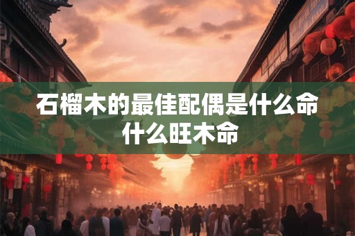 石榴木的最佳配偶是什么命 什么旺木命