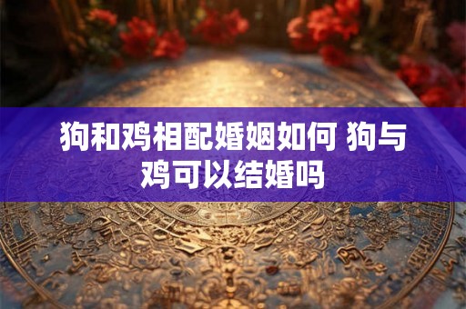 狗和鸡相配婚姻如何 狗与鸡可以结婚吗