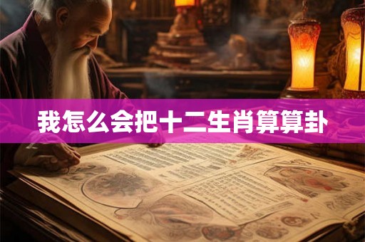 我怎么会把十二生肖算算卦