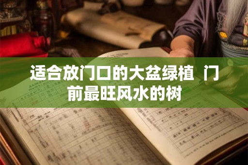适合放门口的大盆绿植  门前最旺风水的树