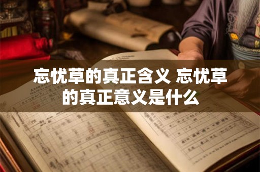 忘忧草的真正含义 忘忧草的真正意义是什么 忘忧草的真正含义 忘忧草的真正意义是什么