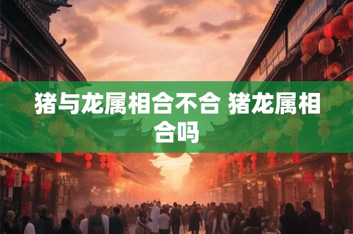 猪与龙属相合不合 猪龙属相合吗