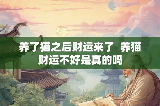 养了猫之后财运来了  养猫财运不好是真的吗
