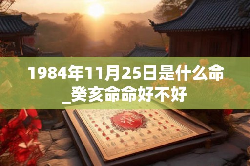 1984年11月25日是什么命_癸亥命命好不好 1984年11月25日是什么命_癸亥命命好不好