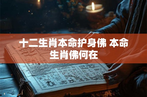 十二生肖本命护身佛 本命生肖佛何在