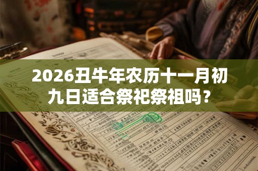 2026丑牛年农历十一月初九日适合祭祀祭祖吗？