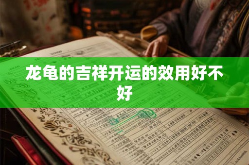 龙龟的吉祥开运的效用好不好