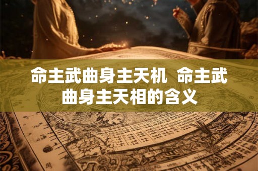命主武曲身主天机  命主武曲身主天相的含义