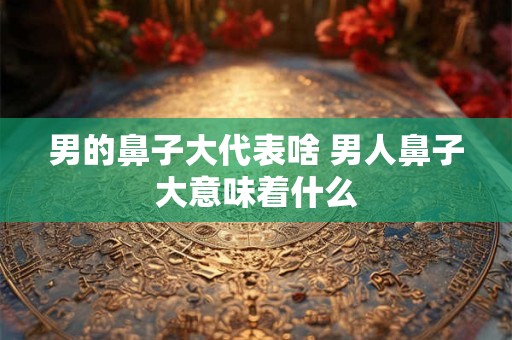 男的鼻子大代表啥 男人鼻子大意味着什么