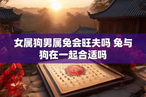 女属狗男属兔会旺夫吗 兔与狗在一起合适吗