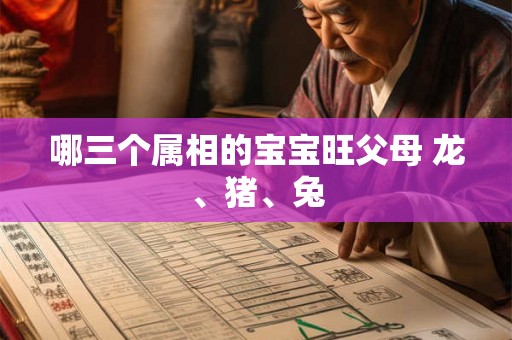 哪三个属相的宝宝旺父母 龙、猪、兔
