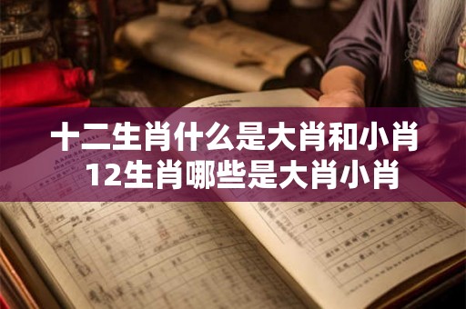 十二生肖什么是大肖和小肖  12生肖哪些是大肖小肖