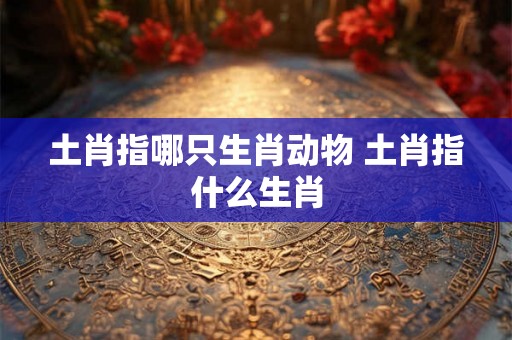 土肖指哪只生肖动物 土肖指什么生肖