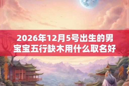 2026年12月5号出生的男宝宝五行缺木用什么取名好