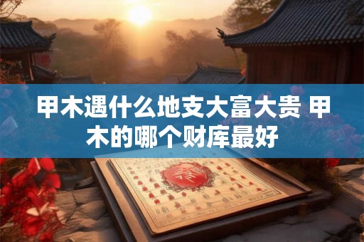 甲木遇什么地支大富大贵 甲木的哪个财库最好