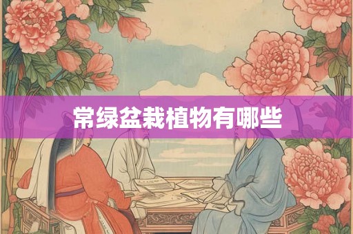常绿盆栽植物有哪些