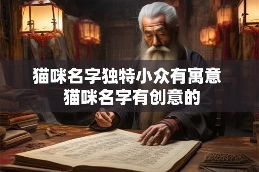 猫咪名字独特小众有寓意  猫咪名字有创意的