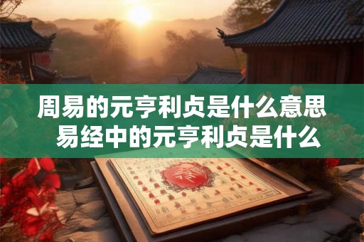 周易的元亨利贞是什么意思  易经中的元亨利贞是什么意思