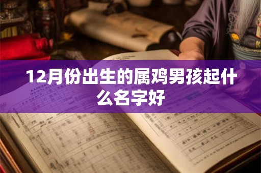 12月份出生的属鸡男孩起什么名字好