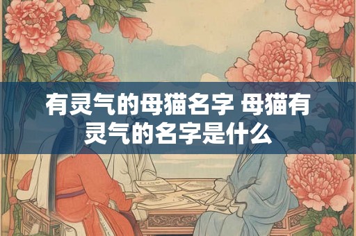 有灵气的母猫名字 母猫有灵气的名字是什么