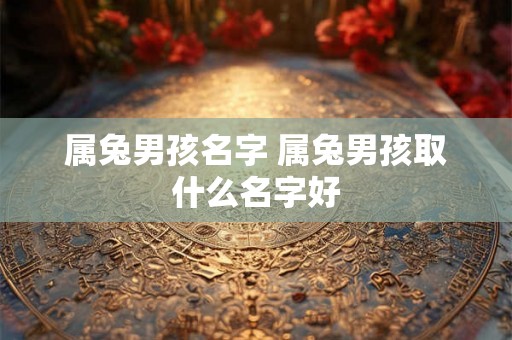 属兔男孩名字 属兔男孩取什么名字好