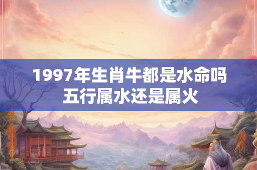 1997年生肖牛都是水命吗 五行属水还是属火