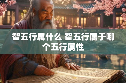 智五行属什么 智五行属于哪个五行属性