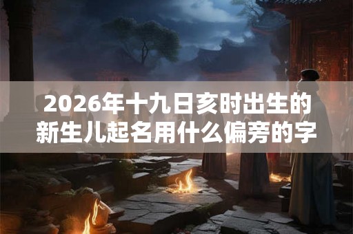 2026年十九日亥时出生的新生儿起名用什么偏旁的字