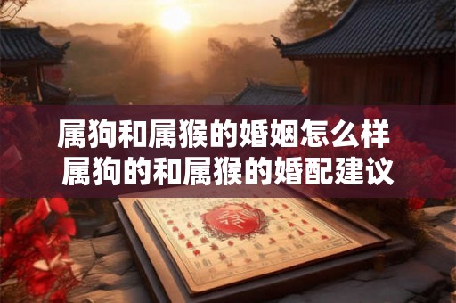 属狗和属猴的婚姻怎么样 属狗的和属猴的婚配建议