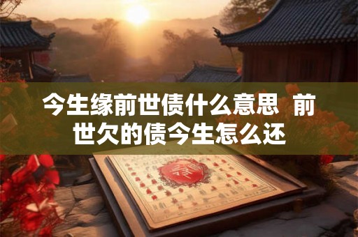 今生缘前世债什么意思  前世欠的债今生怎么还