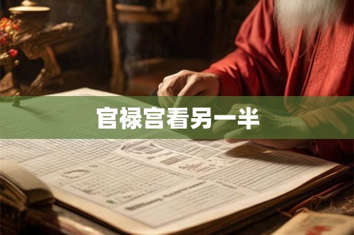 官禄宫看另一半 官禄宫看另一半