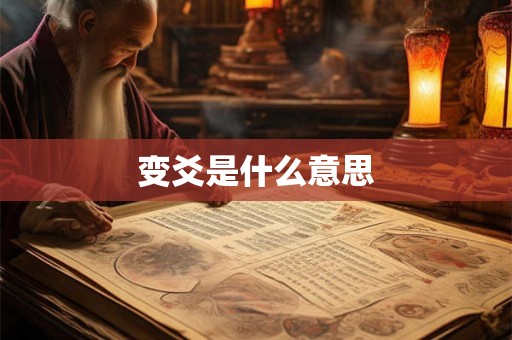 变爻是什么意思