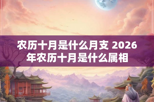 农历十月是什么月支 2026年农历十月是什么属相
