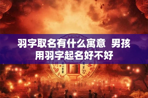 羽字取名有什么寓意  男孩用羽字起名好不好