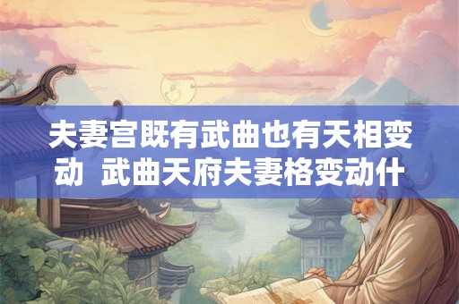 夫妻宫既有武曲也有天相变动  武曲天府夫妻格变动什么意思