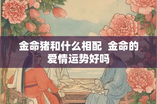 金命猪和什么相配  金命的爱情运势好吗