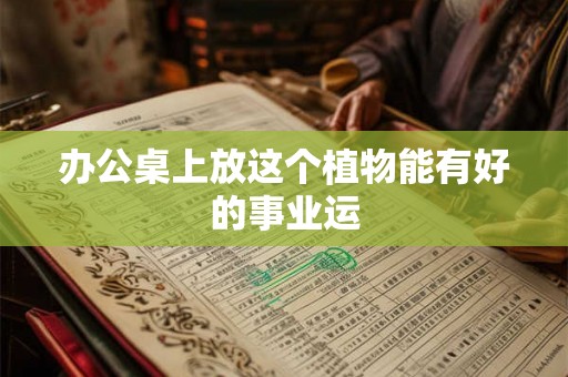 办公桌上放这个植物能有好的事业运